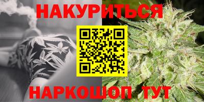 спиды Обь