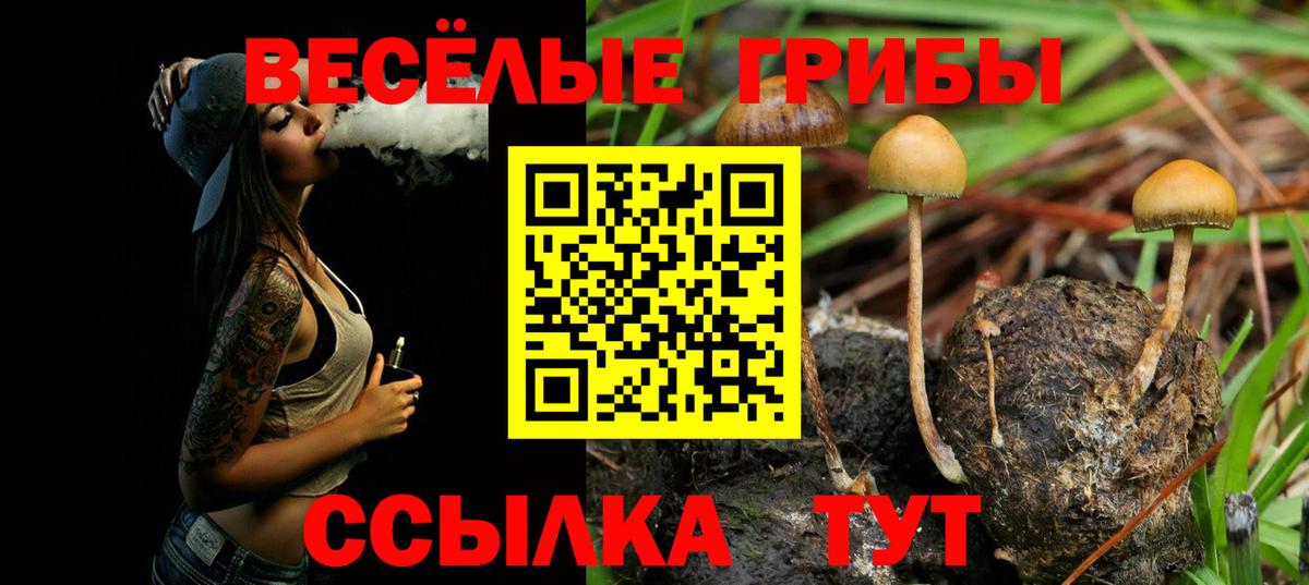 Галлюциногенные грибы Саяногорск