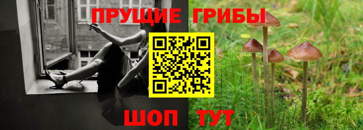 Псилоцибиновые грибы GOLDEN TEACHER  Псилоцибиновые грибы прущие грибы  Саяногорск  Вход с VPN 